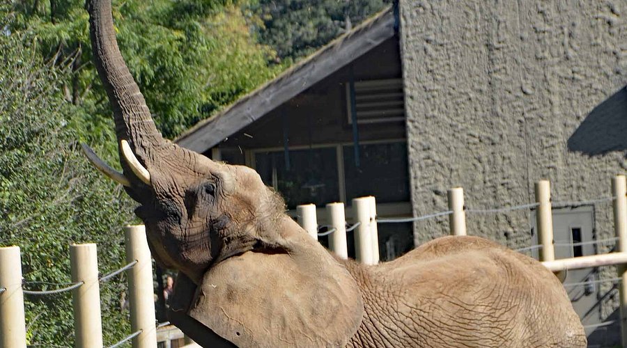 Seneca Park Zoo
